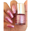 Debelle Gel Nail Polish Metallic Beige Metallic Rose Pink &Pale Pink | 24Ml (8 Ml Each)