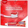 Colgate Maxfresh 300G (150G X 2 | Pack Of 2) Anticavity Toothpaste Gel | Spicy Fresh (Saver Pack)