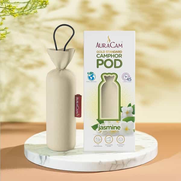 Auracam Gold Standard Camphor Pod Cone Jasmine- Set Of 6