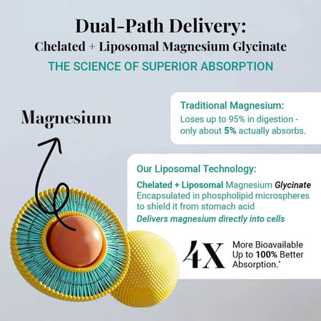 Mag8x 2000mg Magnesium Complex | 8 Chelated Forms + Vitamins | Sleep | Mood & Muscle - 60n