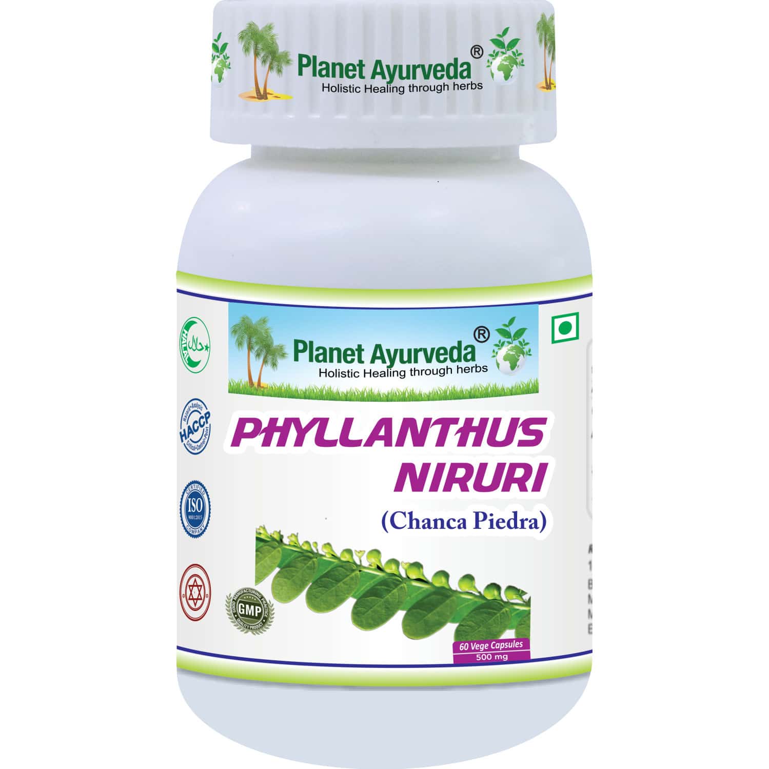 Planet Ayurveda Phyllantus Niruri - 60 Capsules
