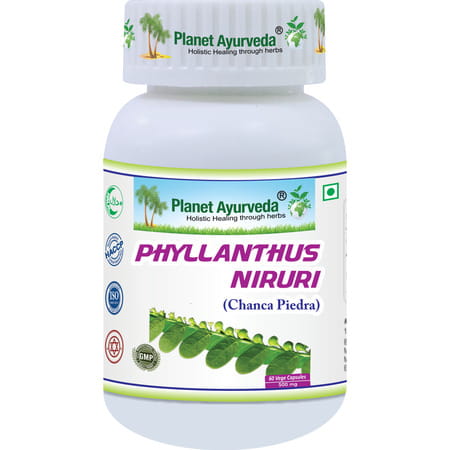 Planet Ayurveda Phyllantus Niruri - 60 Capsules