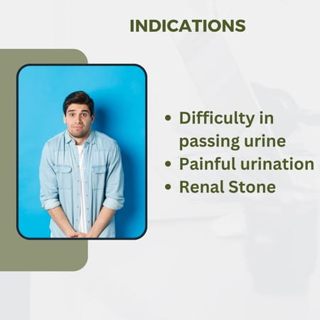 Uma Ayurveda Chandnasava Ayurvedic Syrup 450 Ml