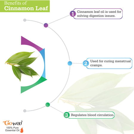 Go Woo 100% Pure Cinnamon Leaf Oil Virgin & Undiluted 50 Ml