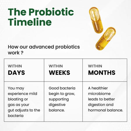 Vlado'S Himalayan Organics Probiotics Supplement 60b Cfu+ Gut Health Supplements | Women - 60n