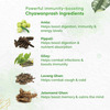 Dr. Vaidya's New Age Chyawanprash Combo For Long-Term Immunity