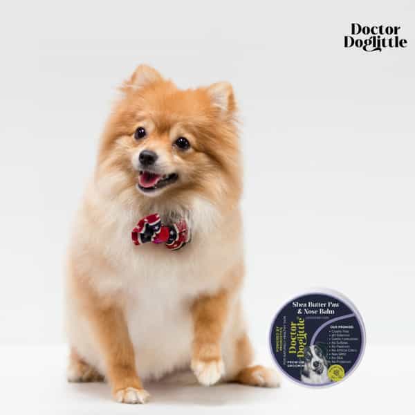 Doctor Doglittle Probiotic Dog Cracked Paws & Nose Balm With Shea Butter (30 Gms)