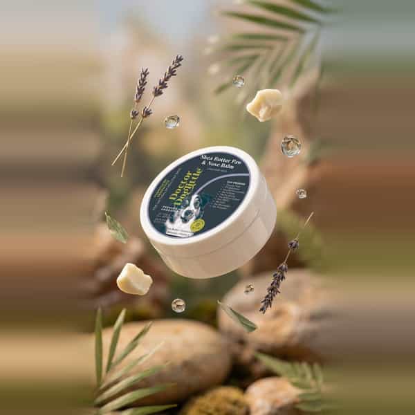Doctor Doglittle Probiotic Dog Cracked Paws & Nose Balm With Shea Butter (30 Gms)