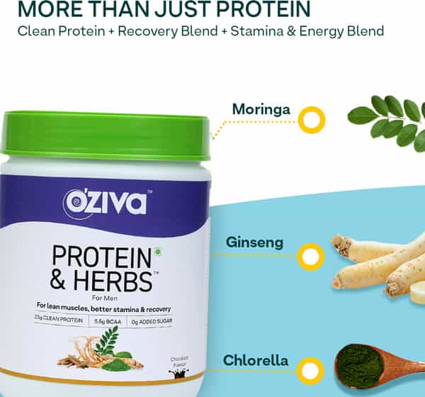 Oziva Protein & Herbs For Men Chocolate (500G) | For Muscle Building Clean