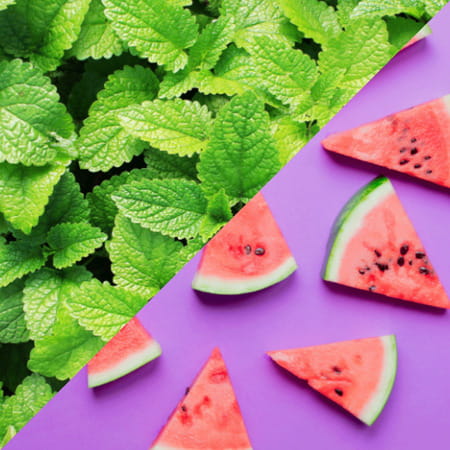 Staycool Breath Freshener Spray - Spearmint Watermelon - Pack Of 2