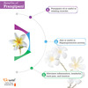 Pack Of 2 Frangipani Essential Oil And Neem Carrier Oil - 100% Pure & Natural Oil For Hair & Skin