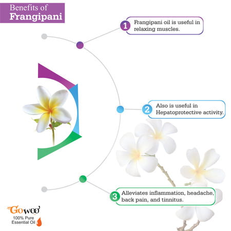 Pack Of 2 Frangipani Essential Oil And Neem Carrier Oil - 100% Pure & Natural Oil For Hair & Skin