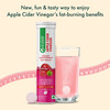Dr. Vaidya's Apple Cider Vinegar | 15 Effervescent Tablets