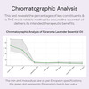 Puraroma True Lavender Essential Oil - 10 Ml