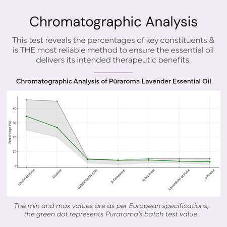 Puraroma True Lavender Essential Oil - 10 Ml