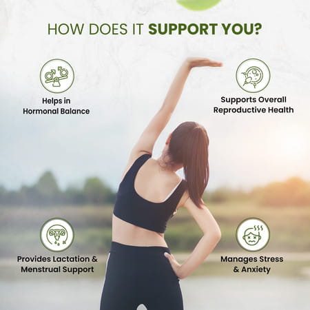 Himalayan Organics Organic Shatavari | Powder | Packet | 250 Gm