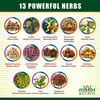 Mbdhwellness Miremba Syrup For Pcod & Pcos Regulating Menstrual Cycle & Flow 13 Potent Herbs|2 Pack