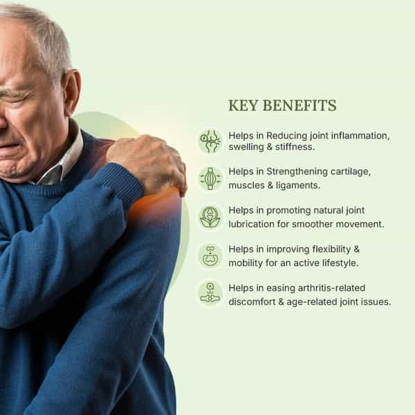 Green Milk Ortiset Tablets | Ayurvedic Joint & Bone Support | 60 Tablets