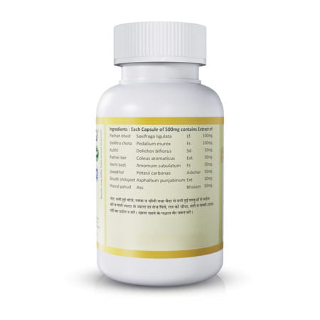 Jeena Sikho Stoni | Herbal Supplements For Kidney Care | Kidney Wellness | 60 Capsules