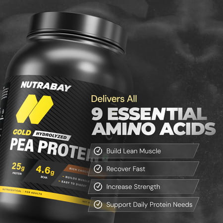Nutrabay Gold Pea Protein Powder | 25g Protein | 4.6g Bcaa | 5g Fiber | Rich Chocolate Cerme - 1kg