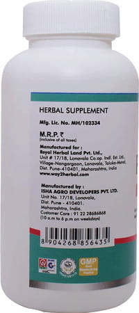 Way2herbal Papaya 120 Tablets