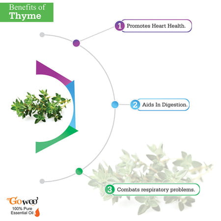 Pack Of 2 Thyme Essential Oil & Brahmi Carrier Oil - 100% Natural Therapeutic Grade For Hair & Skin