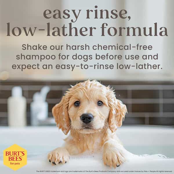 Burt's Bees Tearless 2 In 1 Shampoo & Conditioner For Puppies | 473 Ml