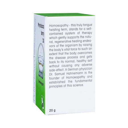 Dr. Reckeweg Phytolacca Berry 3x (20g)