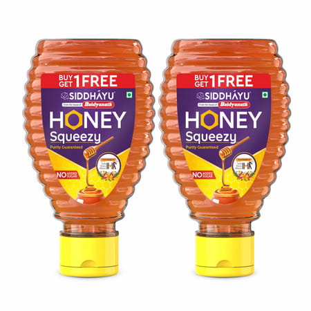 Baidyanath Honey Squeezy | No Added Sugar - 450g (225gx2)