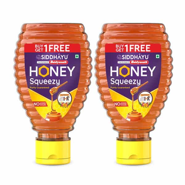 Baidyanath Asli Ayurved Honey Squeezy | No Added Sugar - 450G (225Gx2)