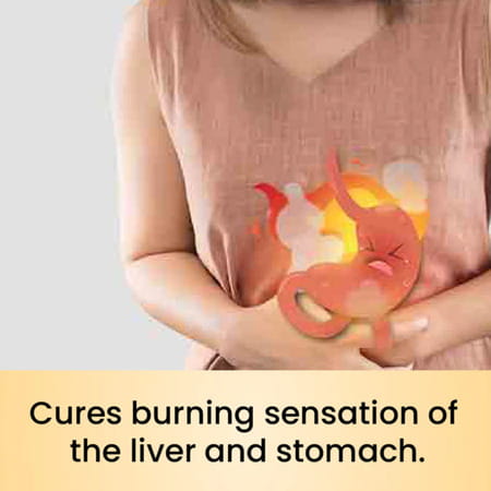 Cipzer Sharbat Sandal 200ml | Cooling Herbal Syrup For Restlessness| Uneasiness & Burning Sensation