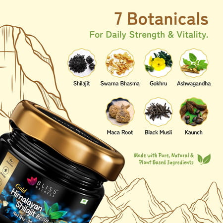 Bliss Welness Gold Himalayan Shilajit Resin 30 Gm