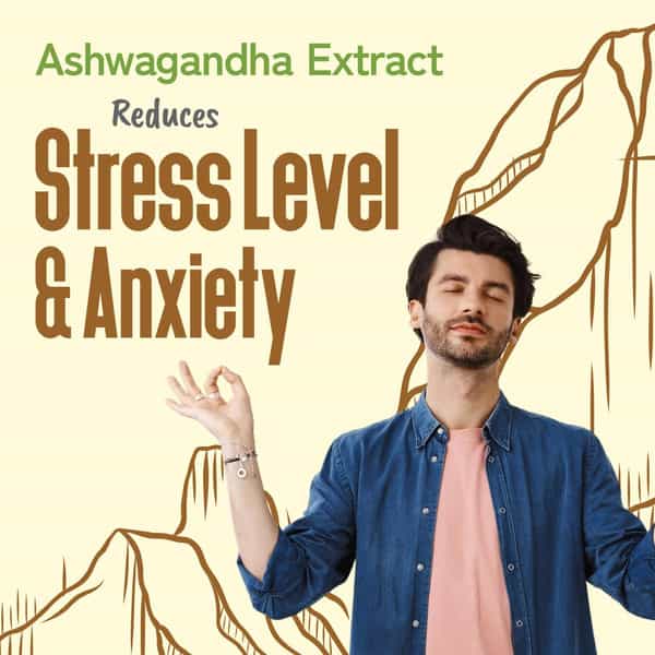 Bliss Welness Gold Himalayan Shilajit Resin 30 Gm