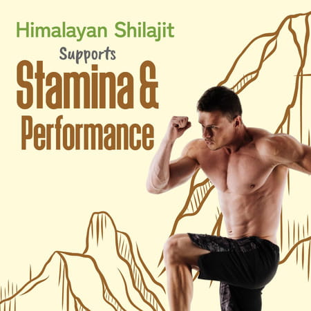 Bliss Welness Gold Himalayan Shilajit Resin 30 Gm