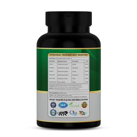Jeena Sikho Dr. Kidney Care Ds Tablets | Ayurvedic Herbal Supplement For Kidney Health | 90 Tablets