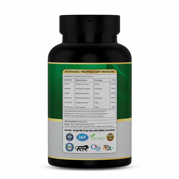 Jeena Sikho Dr. Kidney Care Ds Tablets | Ayurvedic Herbal Supplement For Kidney Health | 90 Tablets