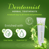 Dentomist Herbal Toothpaste - 100 Gm | Paraben Free | Complete Protection (Pack Of 4)