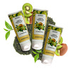 Kiwi & Green Tea Face Wash 100 G Pack Of 3