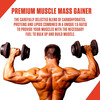 In2 Muscle Mass Gainer 2.5Kg Bulk Up With 3G Creatine Rich Chocolate 25 Servings