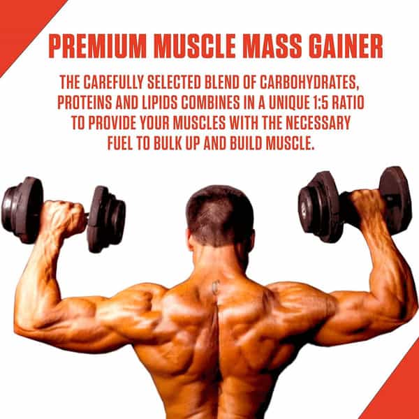 In2 Muscle Mass Gainer 2.5Kg Bulk Up With 3G Creatine Rich Chocolate 25 Servings
