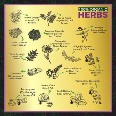 Indus Valley 100% Organic Hair Colour & Spa With Essential Oil- Medium Brown