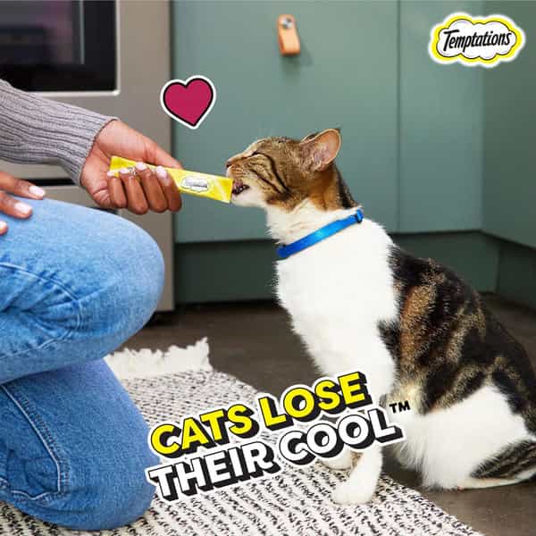 Temptations Creamy Purrrrr Ee Lickable Cat Treats | Chicken & Tuna Flavour | 24 48G