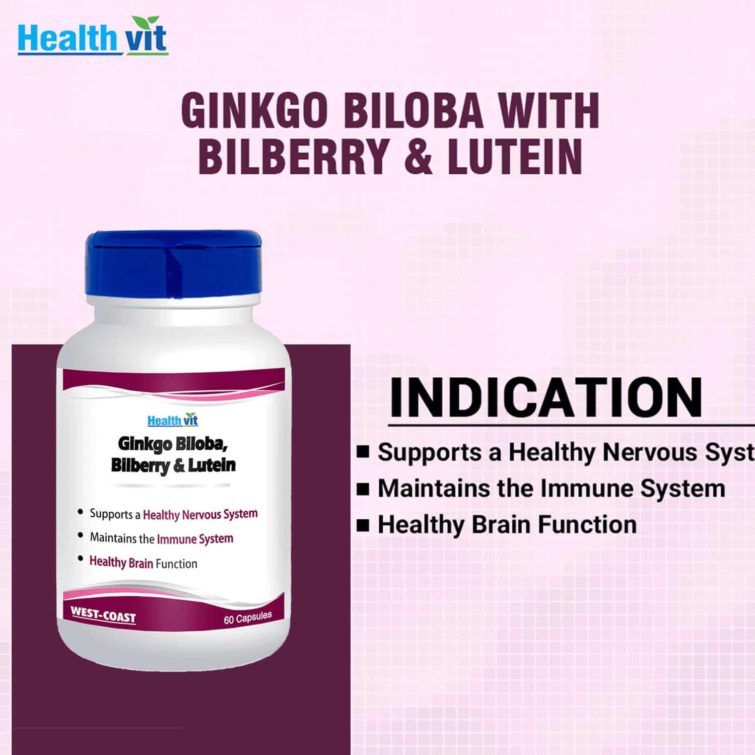 Buy HEALTHVIT GINKGO BILOBA WITH BILBERRY AND LUTEIN 60 CAPSULES