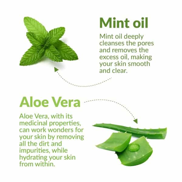 Kara Cleansing And Refreshing Aloe Vera And Mint Oil Face Wipes  Packet Of 10