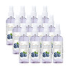 Pearldew Sanitizer Spray (Blueberry) 120 Ml | Aloe & Neem | Paraben Free (Pack Of 8)