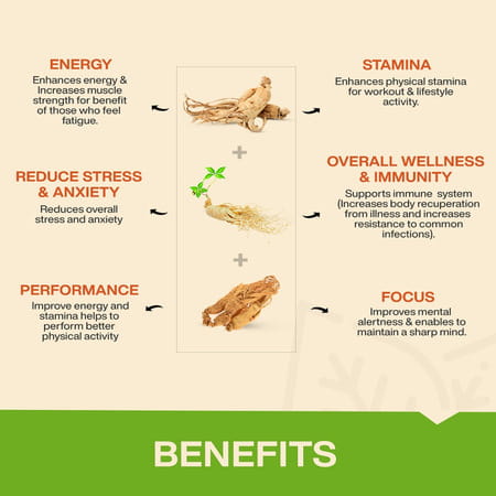 Myfitfuel Ginseng+ (Triple Strength- Korean | American & Siberian Ginseng) | (400Mg) | 180 Capsules