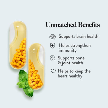 Wellbeing Nutrition Slow Triple Strength Omega-3 Fish Oil | Curcumin Extract For Brain & Heart 60n