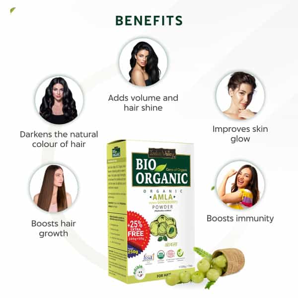 Indus Valley Bio Organic Amla Powder For Hair And Skin-250G