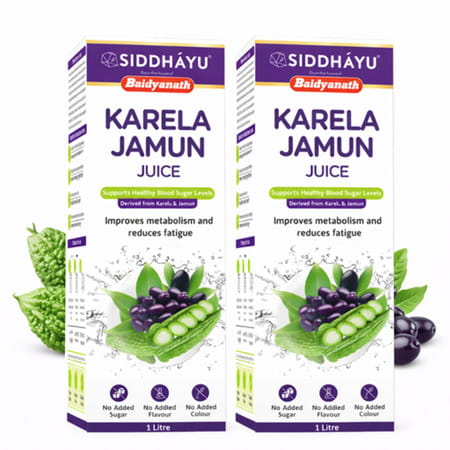 Baidyanath Asli Ayurved Karela Jamun Juice | Control Blood Sugar Naturally - 1 Litre (Pack Of 2)
