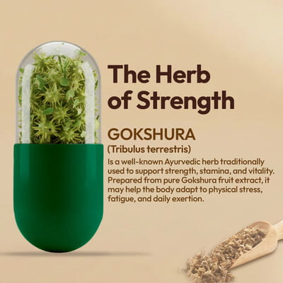 View product image 4